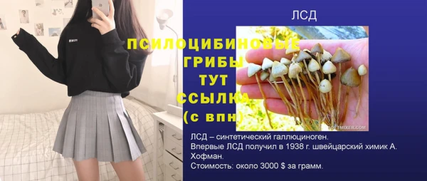 синтетический гашиш Зеленодольск