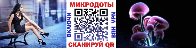 Галлюциногенные грибы Psilocybine cubensis  Серпухов 